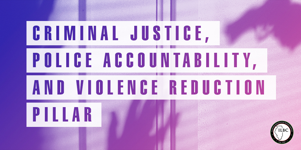 Criminal Justice Police Accountability Violence Reduction